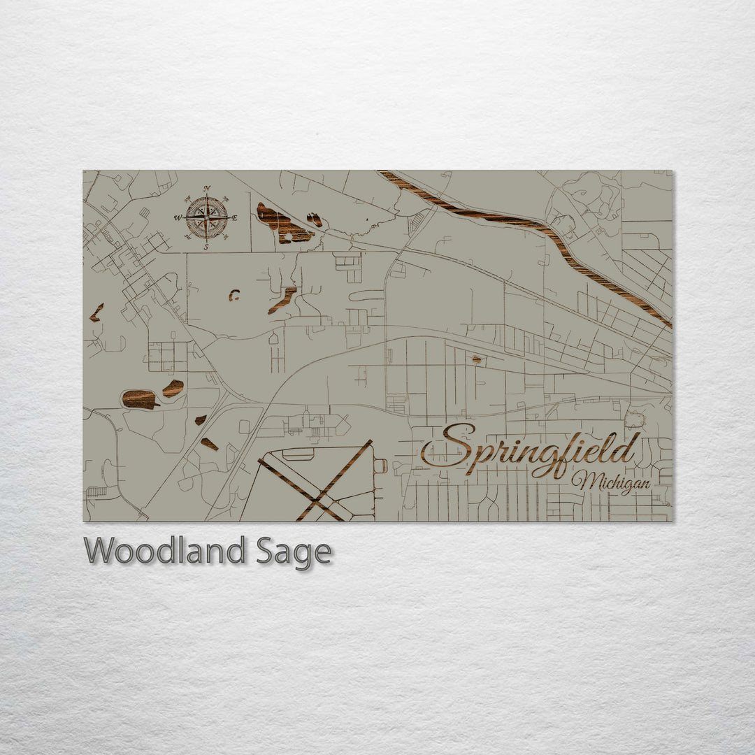 Springfield, Michigan Street Map