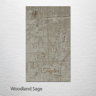 Taylor, Michigan Street Map