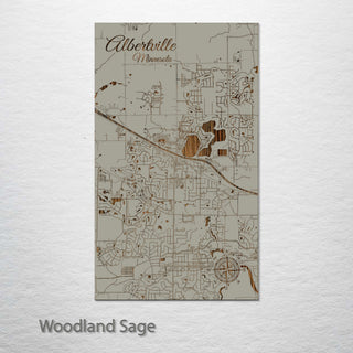 Albertville, Minnesota Street Map