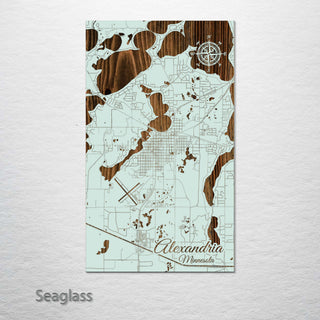 Alexandria, Minnesota Street Map
