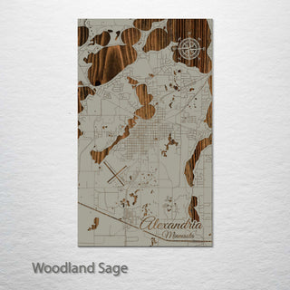 Alexandria, Minnesota Street Map