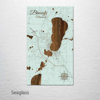 Bemidji, Minnesota Street Map