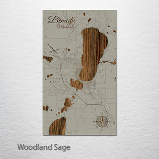 Bemidji, Minnesota Street Map