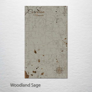 Corcoran, Minnesota Street Map