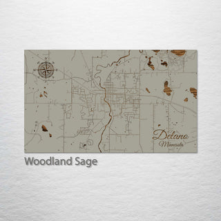 Delano, Minnesota Street Map