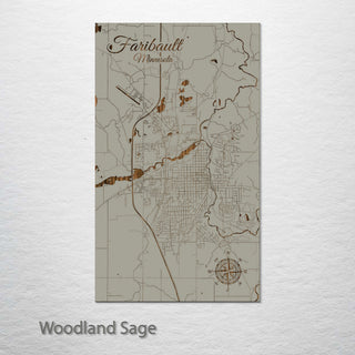 Faribault, Minnesota Street Map