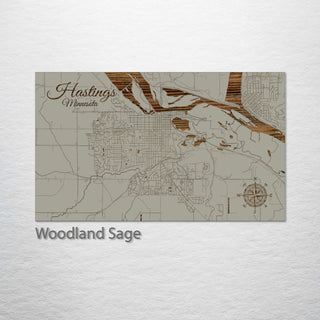 Hastings, Minnesota Street Map