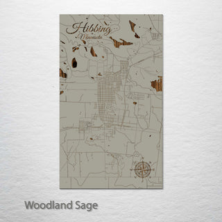 Hibbing, Minnesota Street Map