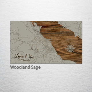 Lake City, Minnesota Street Map