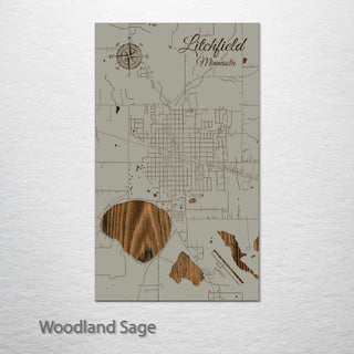 Litchfield, Minnesota Street Map