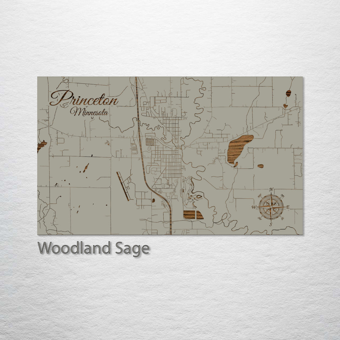 Princeton, Minnesota Street Map