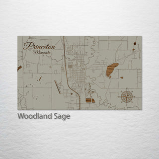 Princeton, Minnesota Street Map