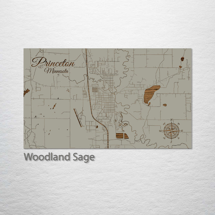 Princeton, Minnesota Street Map