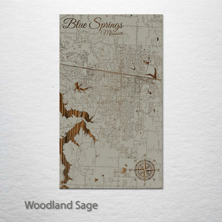 Blue Springs, Missouri Street Map