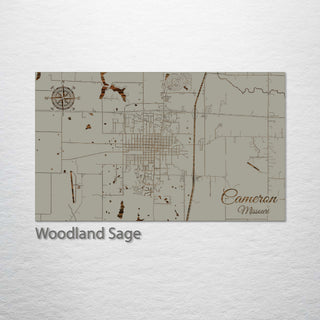 Cameron, Missouri Street Map