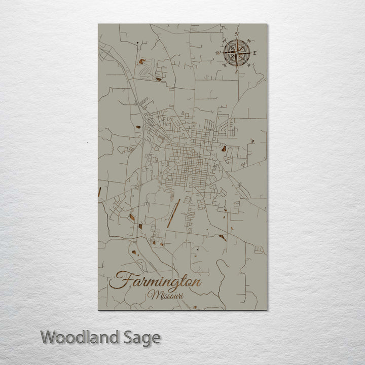 Farmington, Missouri Street Map