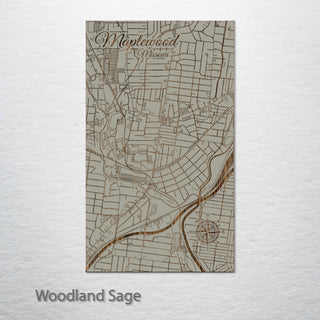 Maplewood, Missouri Street Map