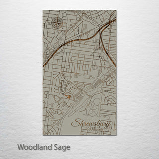 Shrewsbury, Missouri Street Map