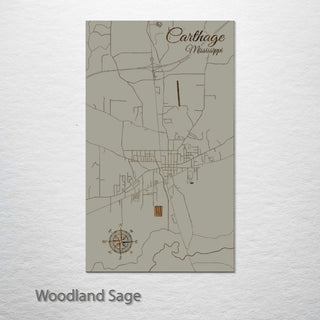 Carthage, Mississippi Street Map