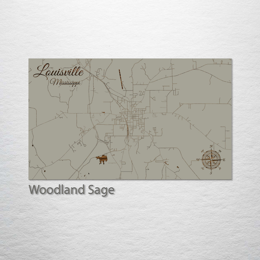 Louisville, Mississippi Street Map