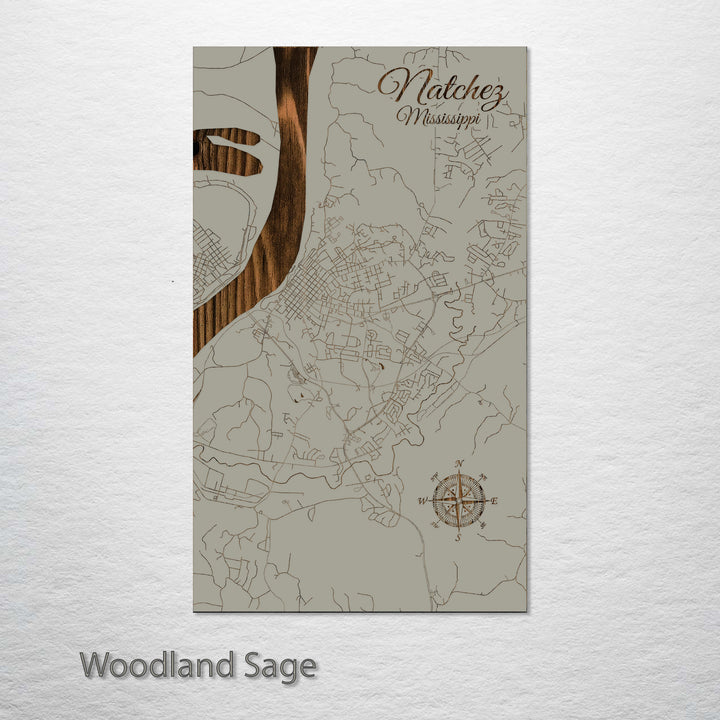 Natchez, Mississippi Street Map