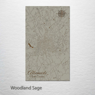 Albemarle, North Carolina Street Map