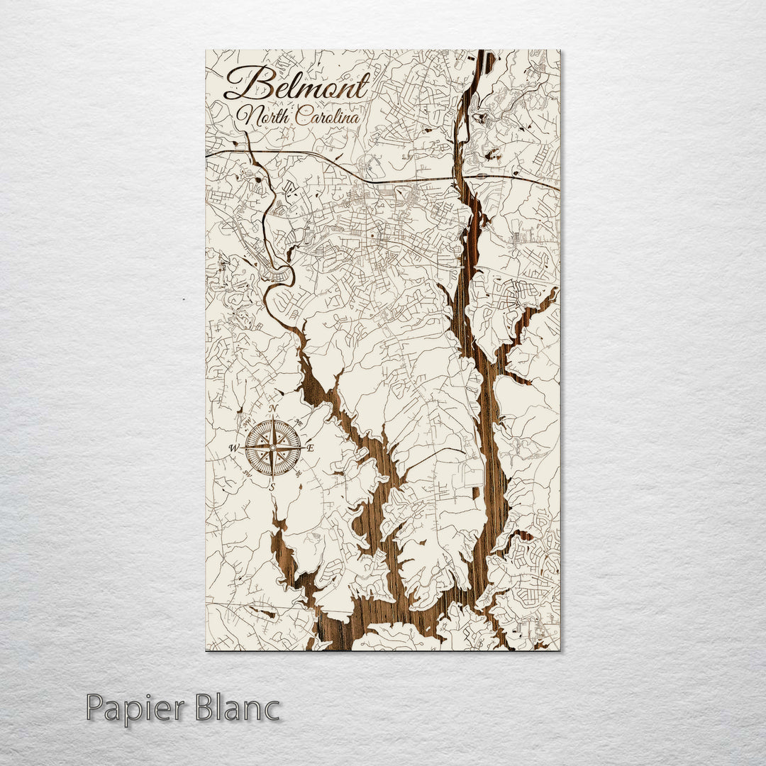 Belmont, North Carolina Street Map