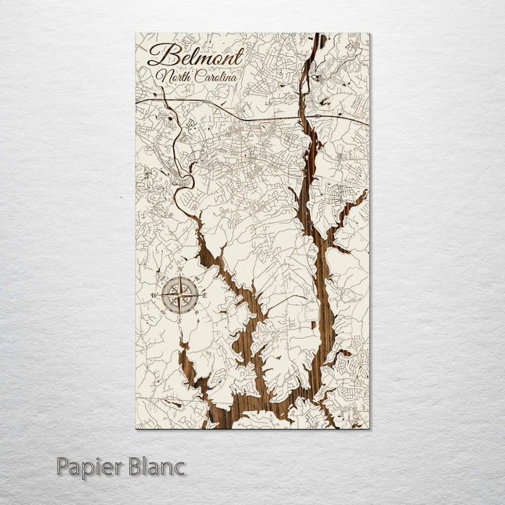 Belmont, North Carolina Street Map