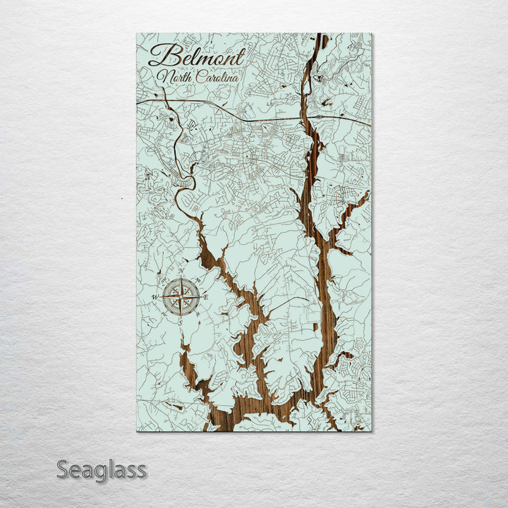 Belmont, North Carolina Street Map