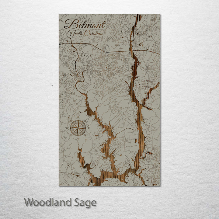 Belmont, North Carolina Street Map