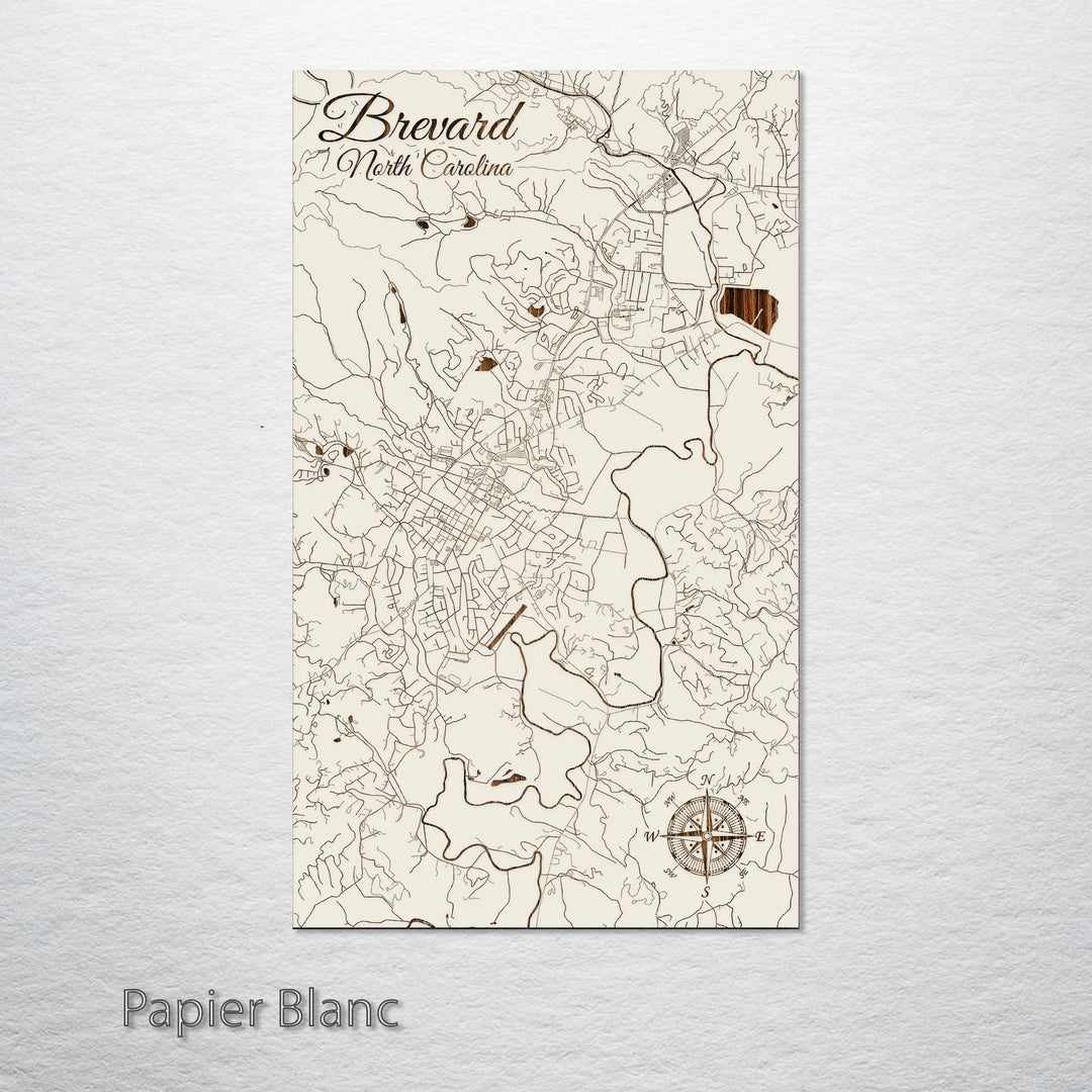 Brevard, North Carolina Street Map