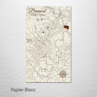 Brevard, North Carolina Street Map