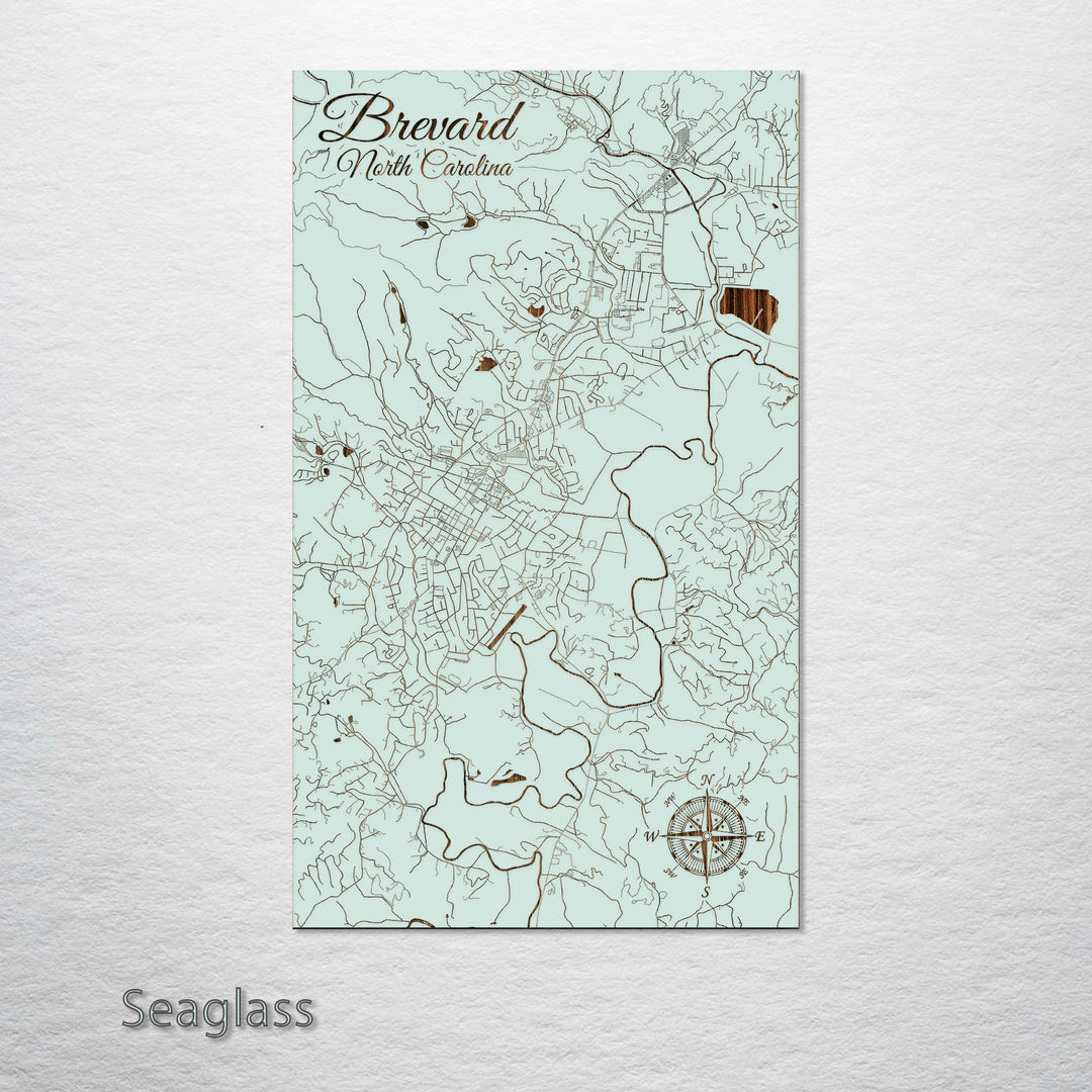 Brevard, North Carolina Street Map