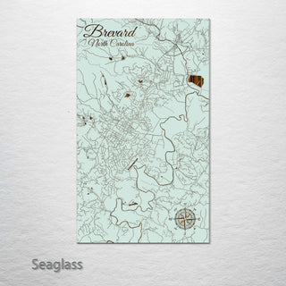 Brevard, North Carolina Street Map
