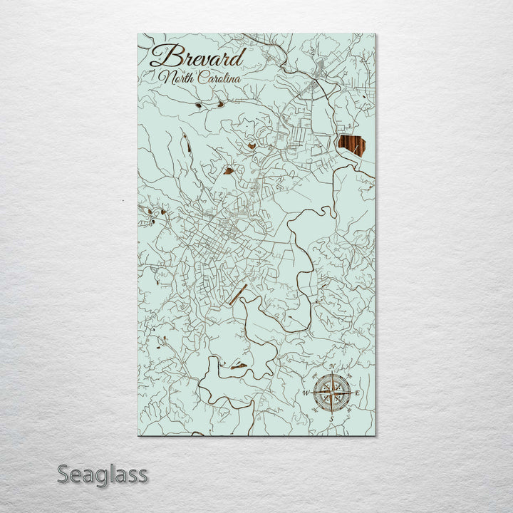 Brevard, North Carolina Street Map