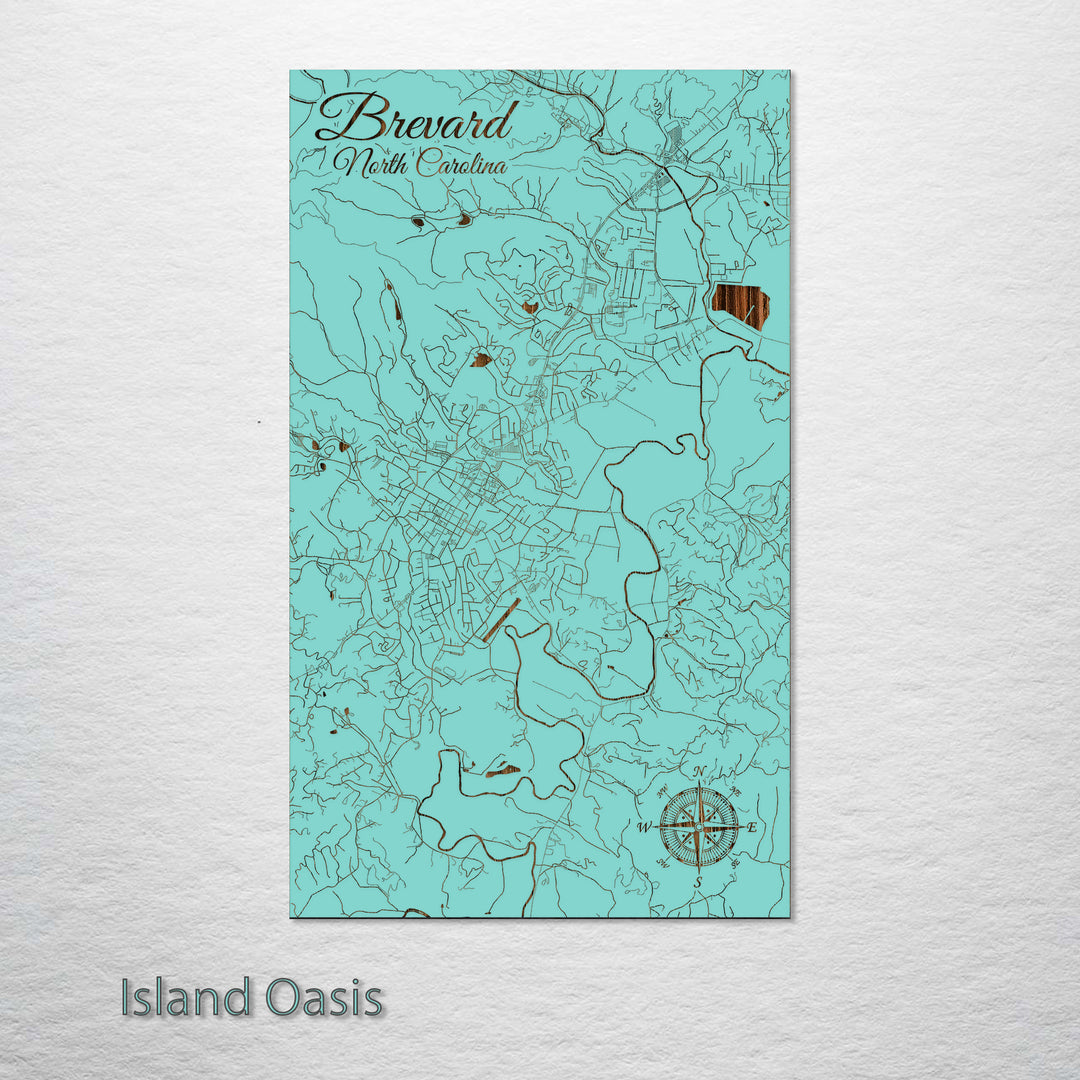 Brevard, North Carolina Street Map