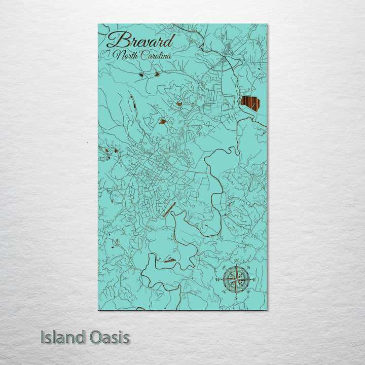 Brevard, North Carolina Street Map