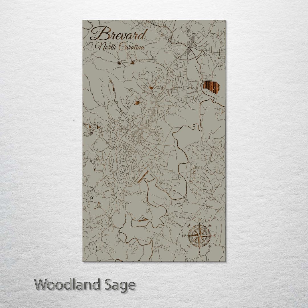 Brevard, North Carolina Street Map