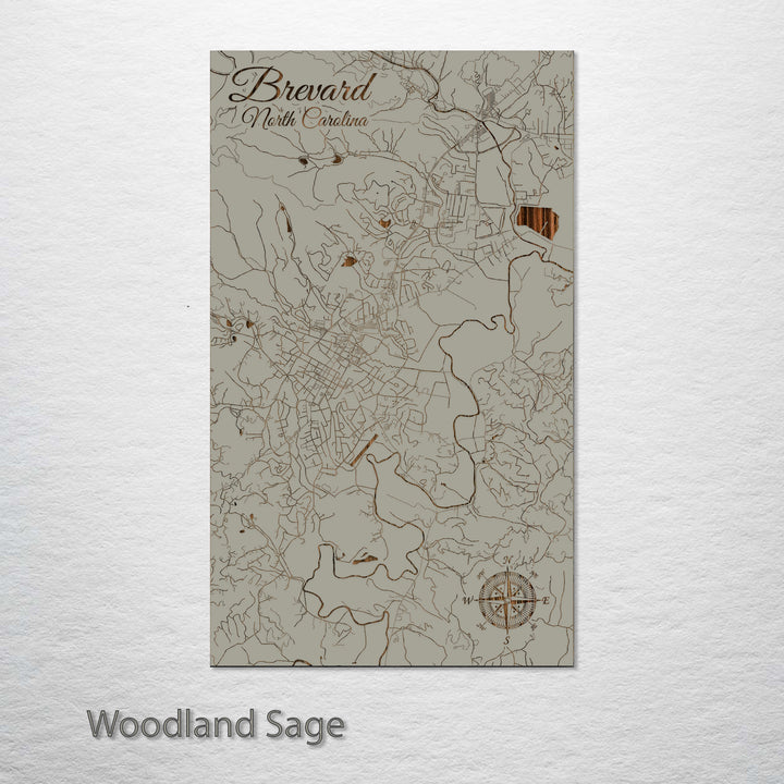 Brevard, North Carolina Street Map