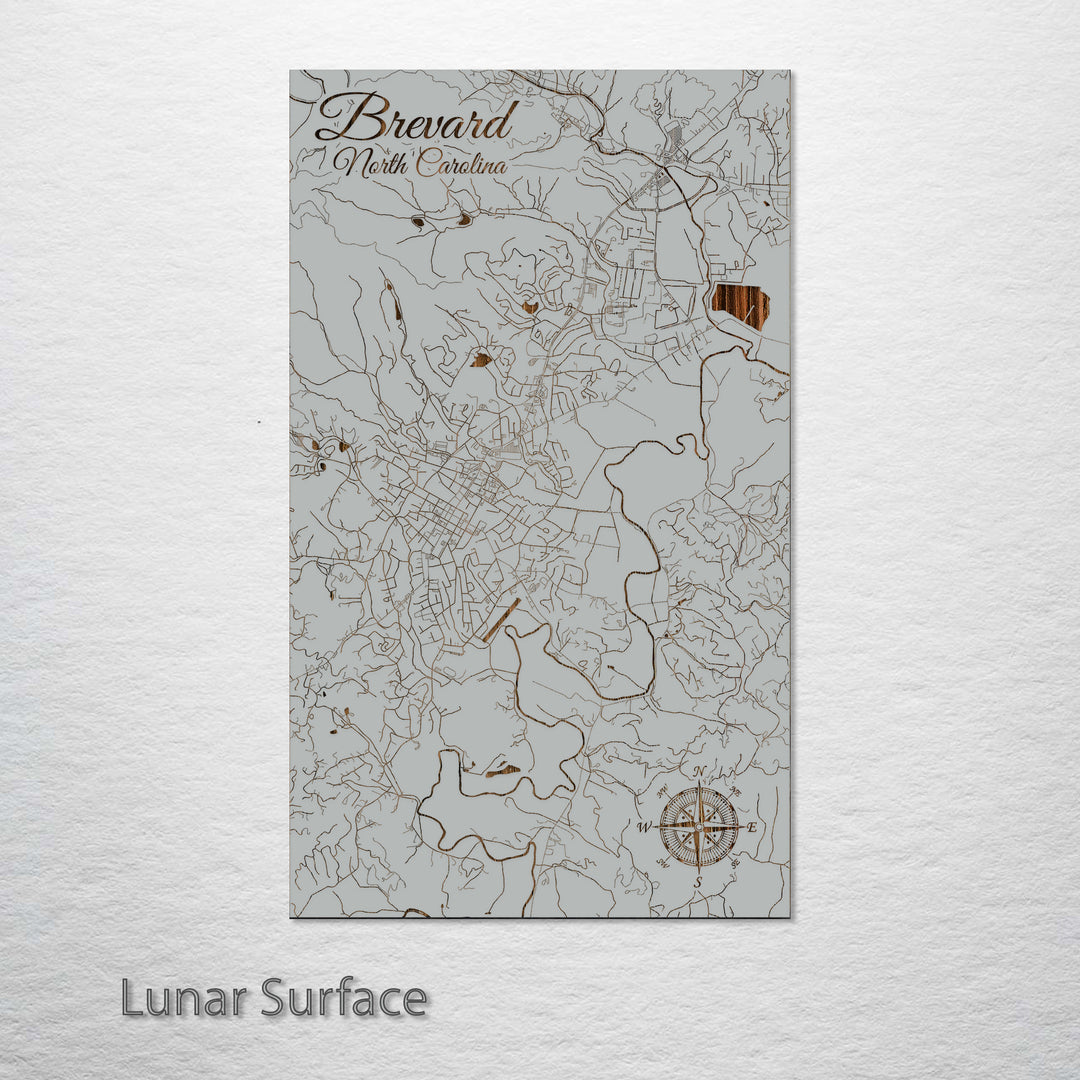 Brevard, North Carolina Street Map