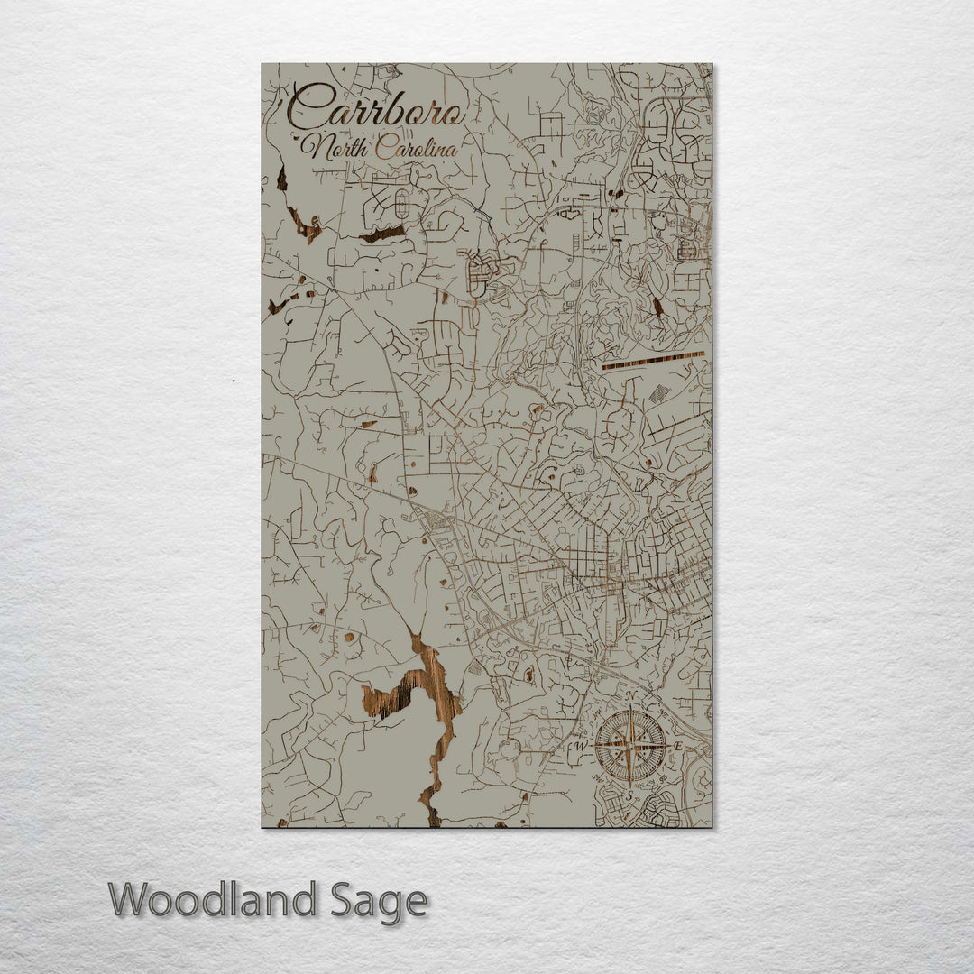 Carrboro, North Carolina Street Map