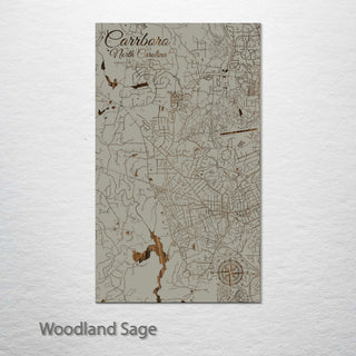Carrboro, North Carolina Street Map