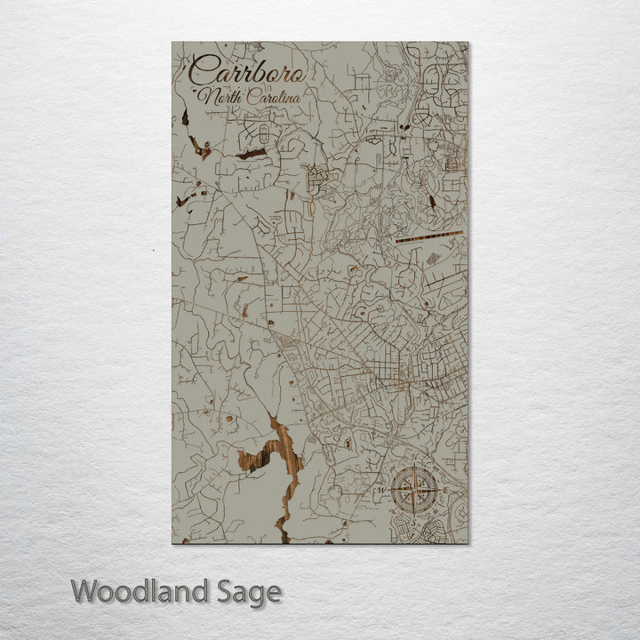 Carrboro, North Carolina Street Map