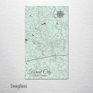 Forest City, North Carolina Street Map