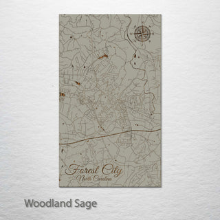Forest City, North Carolina Street Map