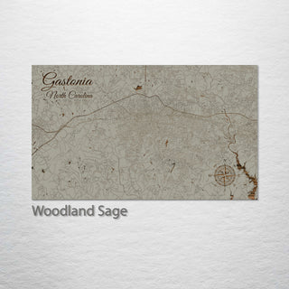 Gastonia, North Carolina Street Map