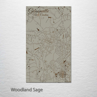 Gibsonville, North Carolina Street Map