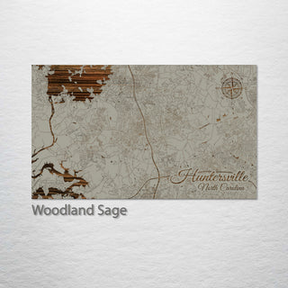 Huntersville, North Carolina Street Map