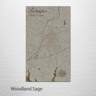 Lexington, North Carolina Street Map