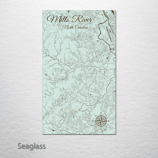 Mills River, North Carolina Street Map